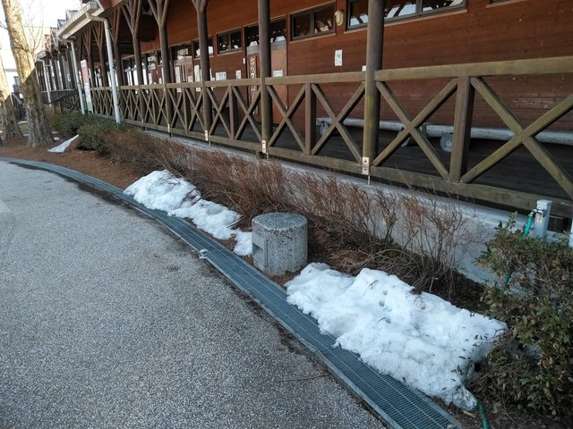 IMG_20180217_132823.jpg