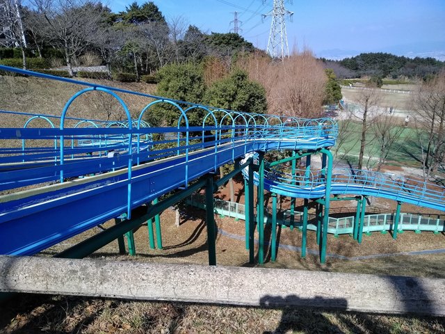 IMG_20180217_133258.jpg